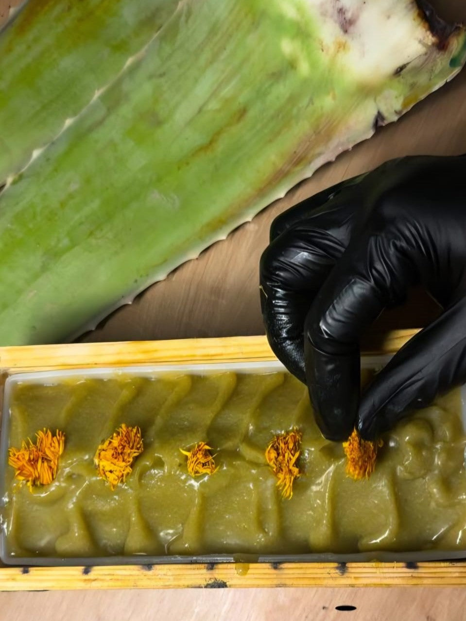 Aloe Vera & Olive Hydration – Nourishing & Hydrating – All Skin Types